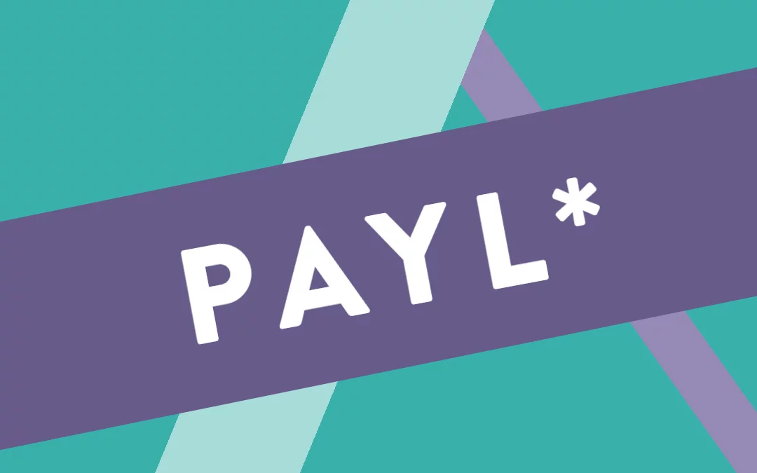 PAYL – ein solidarisches Finanzmodell